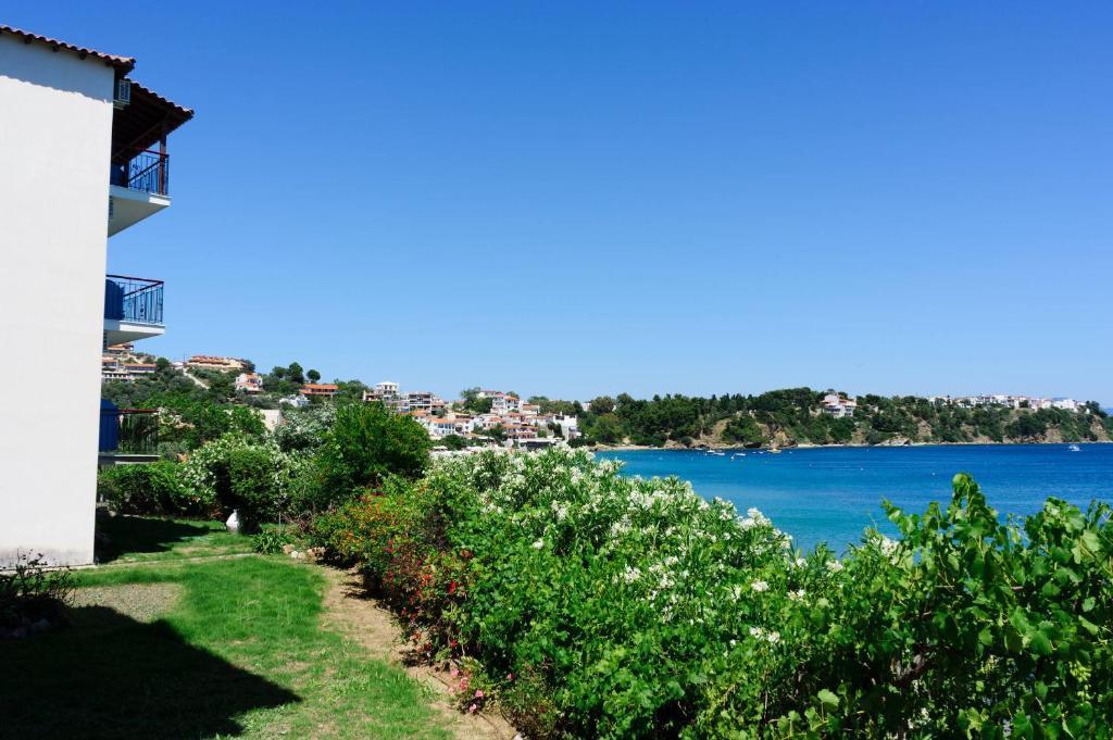 Aphrodite Skiathos Megali Ammos  Exterior photo
